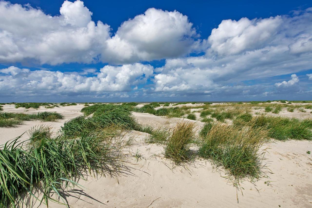 Appartement Duinzee Texel De Koog  Esterno foto